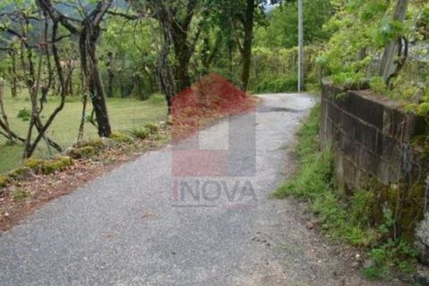 Helårsgrund i Vila Verde, Braga, Vila Verde - € 15.000 | Ref: 06226 - foto 8