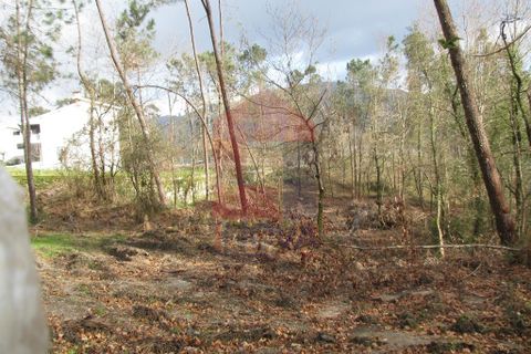 Helårsgrund i Vila Verde, Braga, Vila Verde - € 25.000 | Ref: 04597 - foto 2
