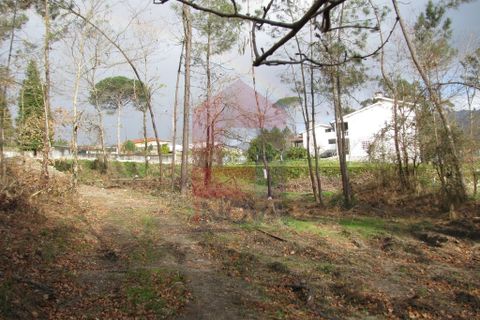 Helårsgrund i Vila Verde, Braga, Vila Verde - € 25.000 | Ref: 04597 - foto 3