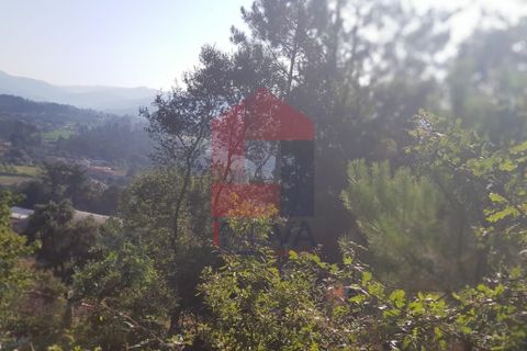 Helårsgrund i Vila Verde, Braga, Vila Verde - € 120.000 | Ref: 06919 - foto 4