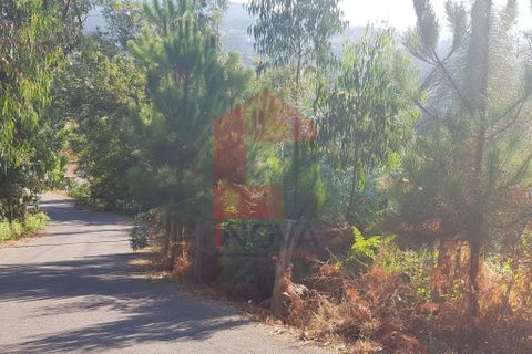 Helårsgrund i Vila Verde, Braga, Vila Verde - € 120.000 | Ref: 06919 - foto 6