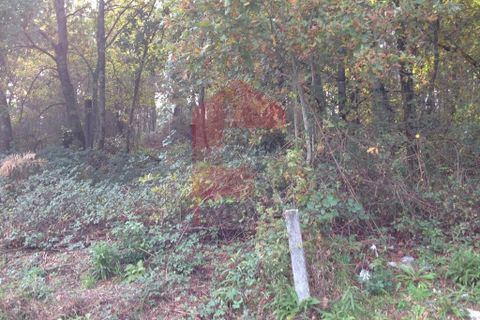 Helårsgrund i Vila Verde, Braga, Vila Verde - € 1.000.000 | Ref: 04512 - foto 4