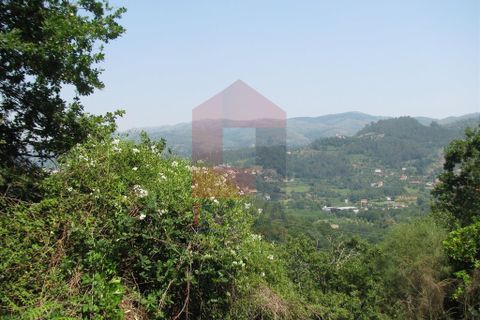 Helårsgrund i Vila Verde, Braga, Vila Verde - € 26.500 | Ref: 05588 - foto 4