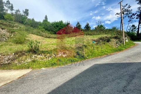 Helårsgrund i Vila Verde, Braga, Vila Verde - € 21.500 | Ref: 04572 - foto 5