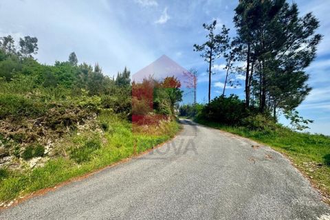 Helårsgrund i Vila Verde, Braga, Vila Verde - € 21.500 | Ref: 04572 - foto 12