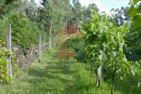 Helårsgrund i Vila Verde, Braga, Vila Verde - € 35.000 | Ref: 04187 - foto 9