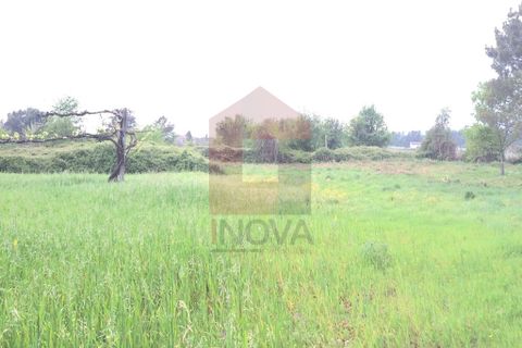 Helårsgrund i Vila Verde, Braga, Vila Verde - € 41.500 | Ref: 04661 - foto 5