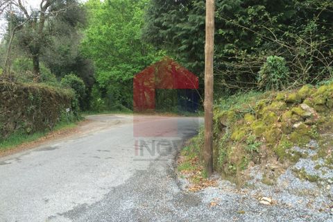 Helårsgrund i Vila Verde, Braga, Vila Verde - € 41.500 | Ref: 04661 - foto 11