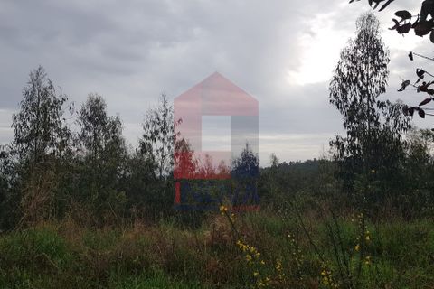 Helårsgrund i Vila Verde, Braga, Vila Verde - € 76.500 | Ref: 06737 - foto 3