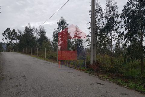 Helårsgrund i Vila Verde, Braga, Vila Verde - € 76.500 | Ref: 06737 - foto 11
