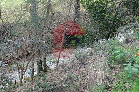 Helårsgrund i Vila Verde, Braga, Vila Verde - € 21.500 | Ref: 05821 - foto 4
