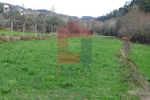 Helårsgrund i Vila Verde, Braga, Vila Verde - € 21.500 | Ref: 05821 - foto 5