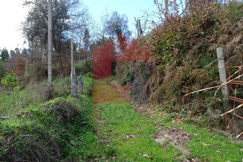 Helårsgrund i Vila Verde, Braga, Vila Verde - € 21.500 | Ref: 05821 - foto 7