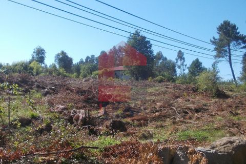 Helårsgrund i Vila Verde, Braga, Vila Verde - € 200.000 | Ref: 04418 - foto 2