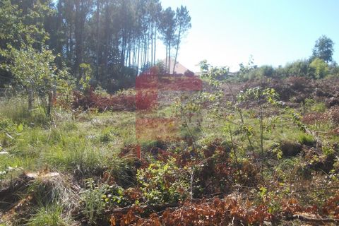 Helårsgrund i Vila Verde, Braga, Vila Verde - € 200.000 | Ref: 04418 - foto 5