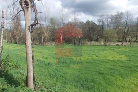 Helårsgrund i Vila Verde, Braga, Vila Verde - € 17.500 | Ref: 04028 - foto 2