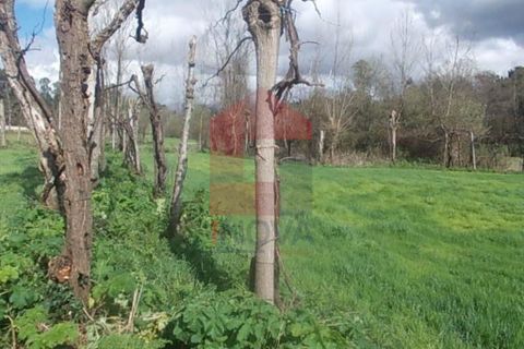 Helårsgrund i Vila Verde, Braga, Vila Verde - € 17.500 | Ref: 04028 - foto 3