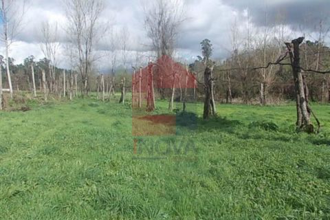 Helårsgrund i Vila Verde, Braga, Vila Verde - € 17.500 | Ref: 04028 - foto 4