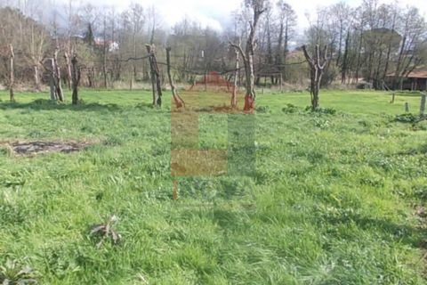 Helårsgrund i Vila Verde, Braga, Vila Verde - € 17.500 | Ref: 04028 - foto 5