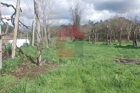 Helårsgrund i Vila Verde, Braga, Vila Verde - € 17.500 | Ref: 04028 - foto 6