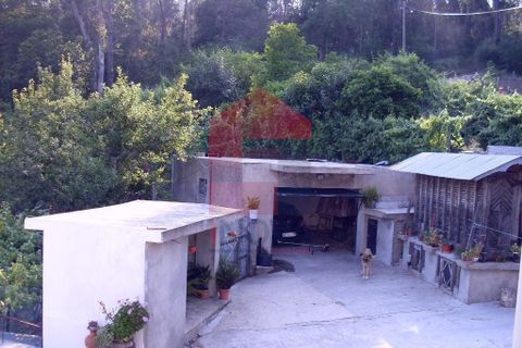 Farm i Vila Verde, Braga, Vila Verde - € 280.000 | Ref: 02714 - foto 8