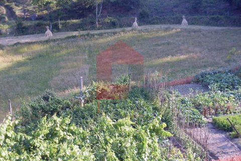 Farm i Vila Verde, Braga, Vila Verde - € 280.000 | Ref: 02714 - foto 9