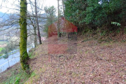 Helårsgrund i Vila Verde, Braga, Vila Verde - € 21.500 | Ref: 05820 - foto 2