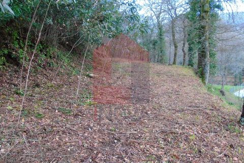 Helårsgrund i Vila Verde, Braga, Vila Verde - € 21.500 | Ref: 05820 - foto 3