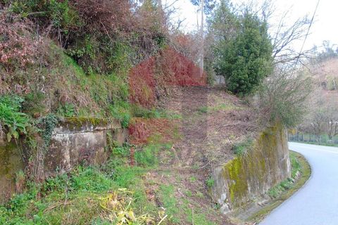 Helårsgrund i Vila Verde, Braga, Vila Verde - € 21.500 | Ref: 05820 - foto 4