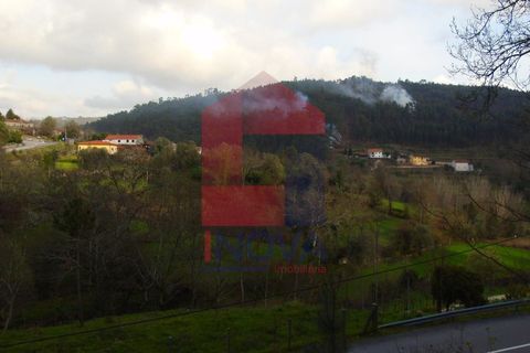 Helårsgrund i Vila Verde, Braga, Vila Verde - € 21.500 | Ref: 05820 - foto 6