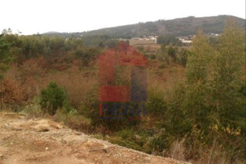 Helårsgrund i Vila Verde, Braga, Vila Verde - € 30.000 | Ref: 02963 - foto 2