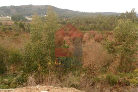 Helårsgrund i Vila Verde, Braga, Vila Verde - € 30.000 | Ref: 02963 - foto 3