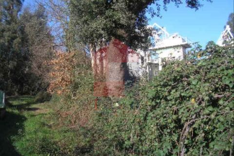 Helårsgrund i Vila Verde, Braga, Vila Verde - € 130.000 | Ref: 03032 - foto 5