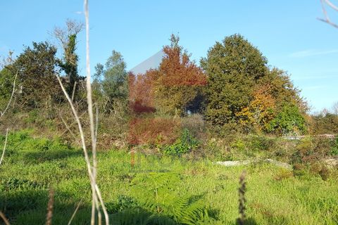 Helårsgrund i Vila Verde, Braga, Vila Verde - € 2.850.000 | Ref: 05326 - foto 4