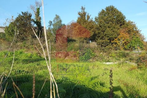 Helårsgrund i Vila Verde, Braga, Vila Verde - € 2.850.000 | Ref: 05326 - foto 5