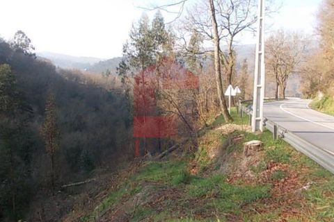 Helårsgrund i Vila Verde, Braga, Vila Verde - € 20.000 | Ref: 04011 - foto 2