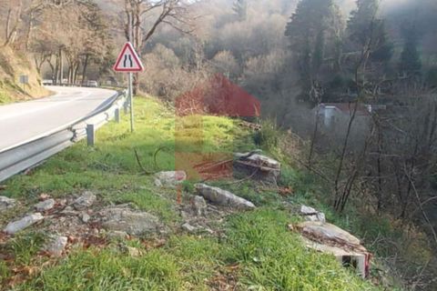 Helårsgrund i Vila Verde, Braga, Vila Verde - € 20.000 | Ref: 04011 - foto 3