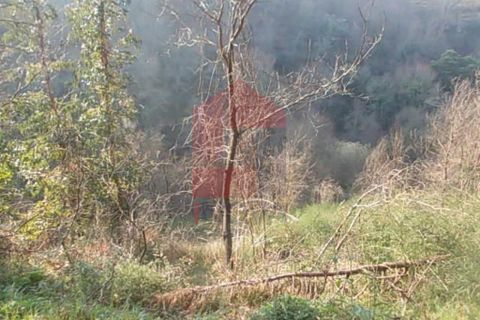Helårsgrund i Vila Verde, Braga, Vila Verde - € 20.000 | Ref: 04011 - foto 5