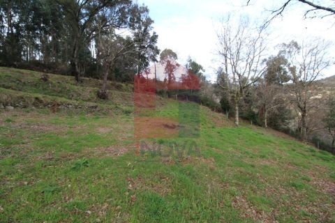 Helårsgrund i Vila Verde, Braga, Vila Verde - € 26.500 | Ref: 06520 - foto 1