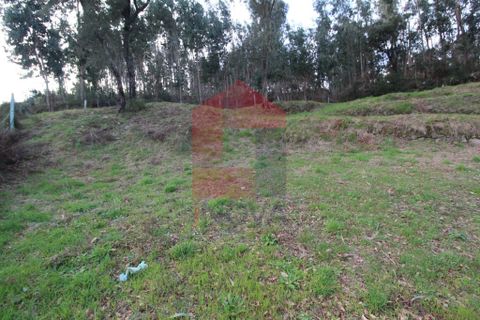 Helårsgrund i Vila Verde, Braga, Vila Verde - € 26.500 | Ref: 06520 - foto 2
