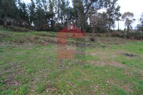 Helårsgrund i Vila Verde, Braga, Vila Verde - € 26.500 | Ref: 06520 - foto 3