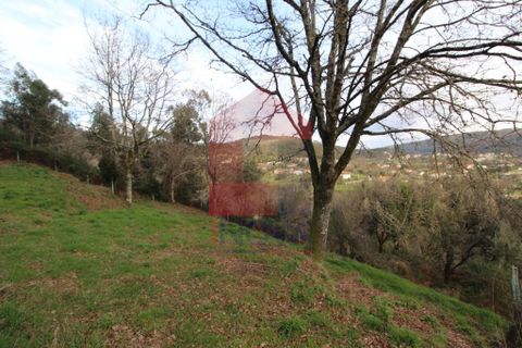 Helårsgrund i Vila Verde, Braga, Vila Verde - € 26.500 | Ref: 06520 - foto 4