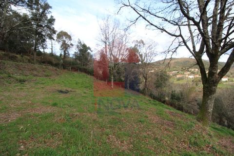 Helårsgrund i Vila Verde, Braga, Vila Verde - € 26.500 | Ref: 06520 - foto 5