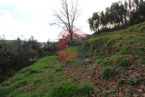 Helårsgrund i Vila Verde, Braga, Vila Verde - € 26.500 | Ref: 06520 - foto 6