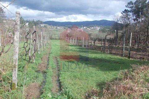 Helårsgrund i Vila Verde, Braga, Vila Verde - € 20.000 | Ref: 04027 - foto 2
