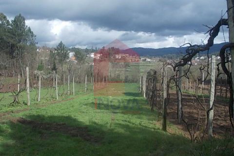 Helårsgrund i Vila Verde, Braga, Vila Verde - € 20.000 | Ref: 04027 - foto 3