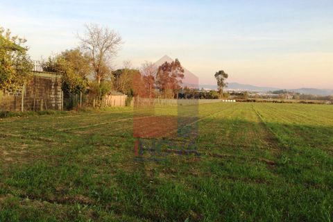 Helårsgrund i Vila Verde, Braga, Vila Verde - € 300.000 | Ref: 05413 - foto 7