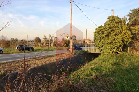 Helårsgrund i Vila Verde, Braga, Vila Verde - € 300.000 | Ref: 05413 - foto 9