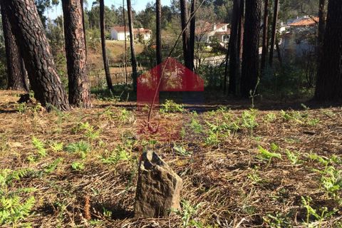 Helårsgrund i Vila Verde, Braga, Vila Verde - € 35.000 | Ref: 06204 - foto 6