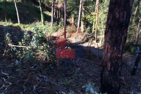 Helårsgrund i Vila Verde, Braga, Vila Verde - € 35.000 | Ref: 06204 - foto 12